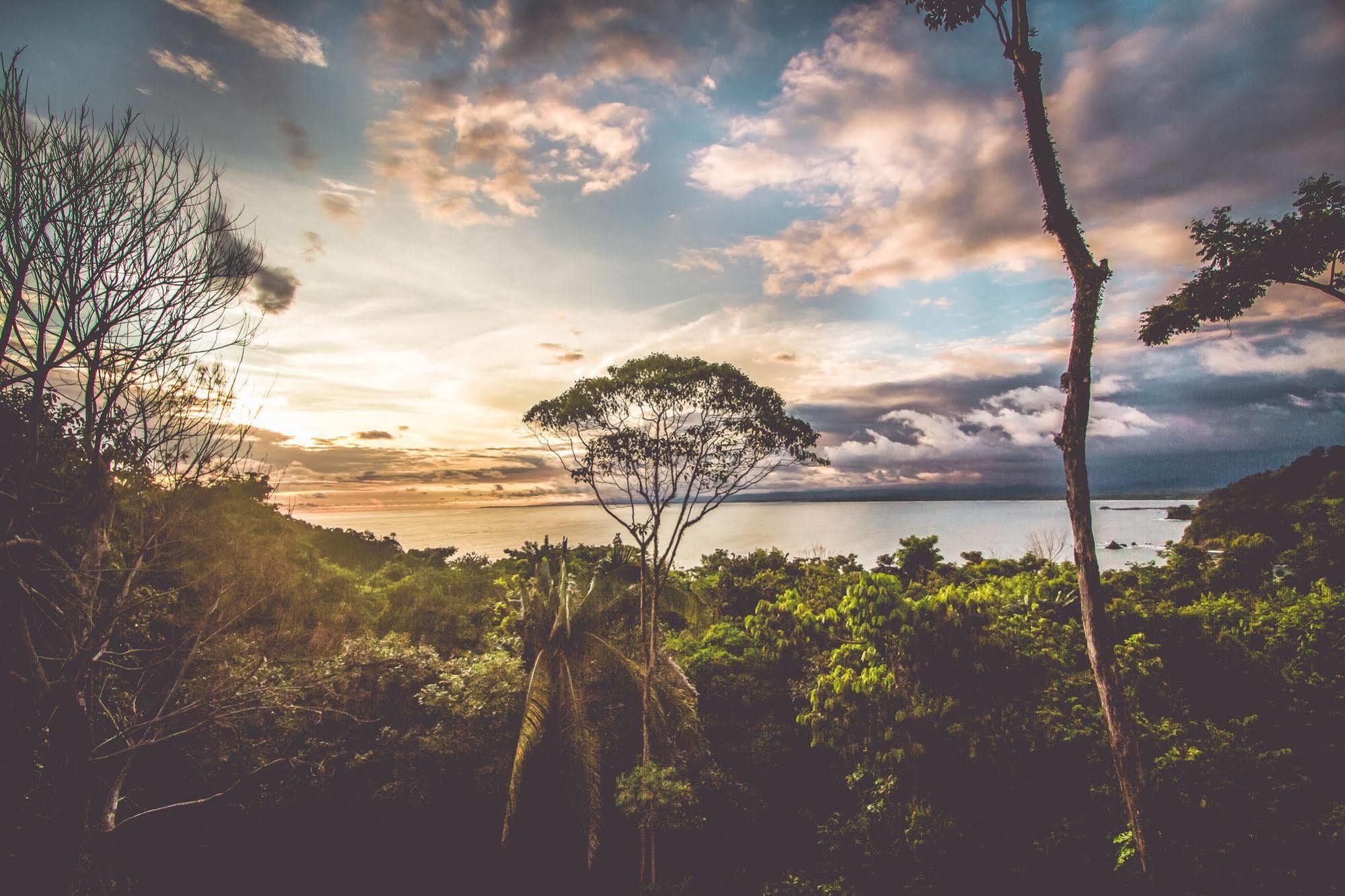 Issimo Suites Boutique Hotel & Spa - Adults Only Manuel Antonio Bagian luar foto